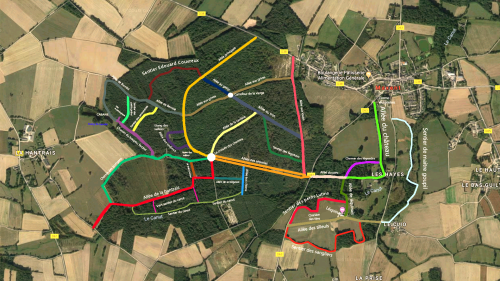 Plan des chemins de la forêt du domaine