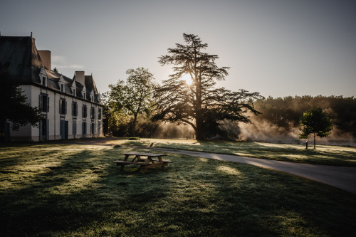 Brume matinale au parc du château