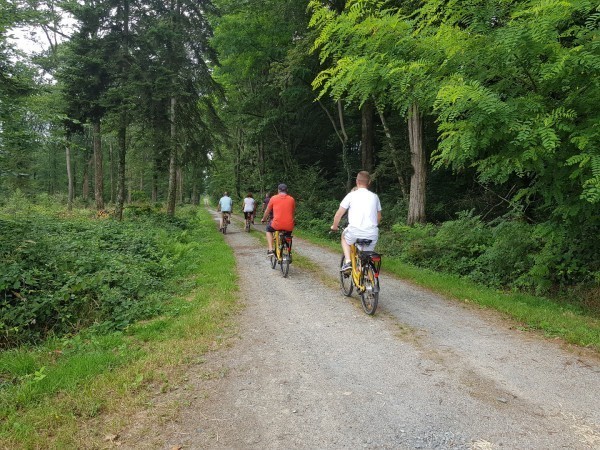 Randonnée en vélo dans les allées du Domaine