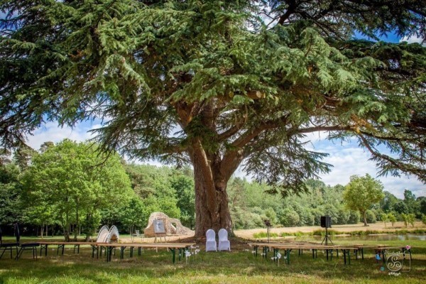 Mariage sous le cèdre